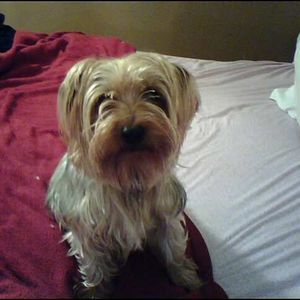 Meet your Posher, Jaye